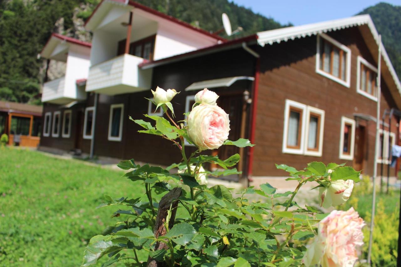 Uzungol Selale Otel Bungalow Exterior photo